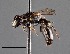  ( - CCDB-25170 E12)  @11 [ ] © (2018) Ryan Oram Royal Saskatchewan Museum