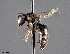  ( - CCDB-25170 F03)  @11 [ ] © (2018) Ryan Oram Royal Saskatchewan Museum