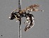  ( - CCDB-25170 F07)  @11 [ ] © (2018) Ryan Oram Royal Saskatchewan Museum