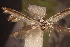  ( - NK2772)  @11 [ ] Copyright (2042) Natalia Kirichenko Sukachev institute of Forest SB RAS