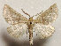  ( - NK2815)  @11 [ ] Copyright (2025) Natalia Kirichenko Sukachev institute of Forest SB RAS