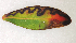  ( - NK2152)  @11 [ ] Copyright (2023) Natalia Kirichenko Sukachev Institute of Forest SB RAS