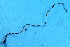  (Ophiocordyceps superficialis - MO294419)  @11 [ ] Unspecified (default): All Rights Reserved (2017) Django Grootmyers Unspecified
