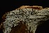  ( - MO314802)  @11 [ ] Unspecified (default): All Rights Reserved (2018) Django Grootmyers Unspecified