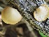  ( - TJR0038)  @11 [ ] CreativeCommons - Attribution Non-Commercial (2019) Trey Richards Unspecified