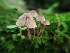  ( - TJR0061)  @11 [ ] CreativeCommons - Attribution Non-Commercial (2019) Trey Richards Unspecified