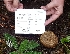  (Xerocomellus diffractus - iNat17266987)  @11 [ ] some rights reserved (CC BY-NC-ND) (2018) brucen Unspecified
