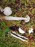 ( - TJR0098)  @11 [ ] CreativeCommons - Attribution Non-Commercial (2019) Trey Richards Unspecified