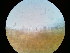  ( - iNat49529569)  @11 [ ] some rights reserved (CC BY) (2020) Garrett Taylor Unspecified