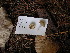  ( - dfmo0024)  @11 [ ] by-nc (2000) Unspecified Duke University