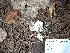  ( - dfmo0026)  @11 [ ] by-nc (2000) Unspecified Duke University