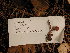 ( - dfmo0177)  @11 [ ] by-nc (2000) Unspecified Duke University
