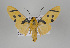  ( - ArcCR 42131)  @14 [ ] Copyright (2010) Unspecified Institut fuer Spezielle Zoologie und Evolutionsbiologie, Friedrich-Schiller Universitat Jena