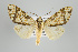  (Tessella - Arcec 32083)  @15 [ ] Copyright (2010) Unspecified Institut fuer Spezielle Zoologie und Evolutionsbiologie, Friedrich-Schiller Universitat Jena