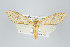  ( - ArcCR 40536)  @11 [ ] Copyright (2010) Unspecified Institut fuer Spezielle Zoologie und Evolutionsbiologie, Friedrich-Schiller Universitat Jena