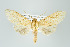  ( - ArcCR 41265)  @11 [ ] Copyright (2010) Unspecified Institut fuer Spezielle Zoologie und Evolutionsbiologie, Friedrich-Schiller Universitat Jena