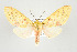  ( - ArcCR 41267)  @14 [ ] Copyright (2010) Unspecified Institut fuer Spezielle Zoologie und Evolutionsbiologie, Friedrich-Schiller Universitat Jena