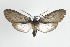  ( - ArcCR 41845)  @15 [ ] Copyright (2010) Unspecified Institut fuer Spezielle Zoologie und Evolutionsbiologie, Friedrich-Schiller Universitat Jena