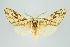  ( - ArcCR 42253)  @11 [ ] Copyright (2010) Unspecified Institut fuer Spezielle Zoologie und Evolutionsbiologie, Friedrich-Schiller Universitat Jena