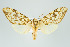  ( - ArcCR 42254)  @11 [ ] Copyright (2010) Unspecified Institut fuer Spezielle Zoologie und Evolutionsbiologie, Friedrich-Schiller Universitat Jena
