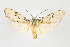  ( - ArcCR 42317)  @11 [ ] Copyright (2010) Unspecified Institut fuer Spezielle Zoologie und Evolutionsbiologie, Friedrich-Schiller Universitat Jena