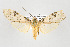  ( - ArcCR 42318)  @11 [ ] Copyright (2010) Unspecified Institut fuer Spezielle Zoologie und Evolutionsbiologie, Friedrich-Schiller Universitat Jena