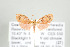  ( - ArcCR 42357)  @13 [ ] Copyright (2010) Unspecified Institut fuer Spezielle Zoologie und Evolutionsbiologie, Friedrich-Schiller Universitat Jena