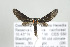  ( - ArcCR 42376)  @13 [ ] Copyright (2010) Unspecified Institut fuer Spezielle Zoologie und Evolutionsbiologie, Friedrich-Schiller Universitat Jena