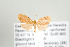  ( - ArcCR 42726)  @13 [ ] Copyright (2010) Unspecified Institut fuer Spezielle Zoologie und Evolutionsbiologie, Friedrich-Schiller Universitat Jena