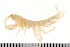  ( - HUNTSAMP0002)  @13 [ ] CreativeCommons - Attribution (2010) Unspecified Centre for Biodiversity Genomics