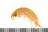  ( - HUNTSAMP0004)  @11 [ ] CreativeCommons - Attribution (2010) Unspecified Centre for Biodiversity Genomics