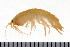  ( - HUNTSAMP0007)  @11 [ ] CreativeCommons - Attribution (2010) Unspecified Centre for Biodiversity Genomics