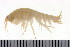  ( - HUNTSAMP0008)  @11 [ ] CreativeCommons - Attribution (2010) Unspecified Centre for Biodiversity Genomics