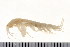  ( - HUNTSAMP0012)  @12 [ ] CreativeCommons - Attribution (2010) Unspecified Centre for Biodiversity Genomics