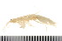  ( - HUNTSAMP0014)  @12 [ ] CreativeCommons - Attribution (2010) Unspecified Centre for Biodiversity Genomics