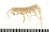  ( - HUNTSAMP0018)  @13 [ ] CreativeCommons - Attribution (2010) Unspecified Centre for Biodiversity Genomics