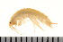  ( - HUNTSAMP0024)  @11 [ ] CreativeCommons - Attribution (2010) Unspecified Centre for Biodiversity Genomics