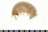  ( - HUNTSAMP0027)  @13 [ ] CreativeCommons - Attribution (2010) Unspecified Centre for Biodiversity Genomics