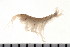  ( - HUNTSAMP0045)  @13 [ ] CreativeCommons - Attribution (2010) Unspecified Centre for Biodiversity Genomics