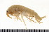  ( - HUNTSAMP0052)  @11 [ ] CreativeCommons - Attribution (2010) Unspecified Centre for Biodiversity Genomics