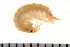  ( - HUNTSAMP0060)  @13 [ ] CreativeCommons - Attribution (2010) Unspecified Centre for Biodiversity Genomics