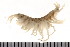  ( - HUNTSAMP0078)  @14 [ ] CreativeCommons - Attribution (2010) Unspecified Centre for Biodiversity Genomics