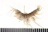  ( - HUNTSAMP0086)  @13 [ ] CreativeCommons - Attribution (2010) Unspecified Centre for Biodiversity Genomics