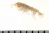  ( - HUNTSAMP0094)  @13 [ ] CreativeCommons - Attribution (2010) Unspecified Centre for Biodiversity Genomics