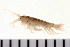  ( - HUNTSAMP0106)  @13 [ ] CreativeCommons - Attribution (2010) Unspecified Centre for Biodiversity Genomics