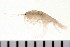  ( - HUNTSAMP0107)  @13 [ ] CreativeCommons - Attribution (2010) Unspecified Centre for Biodiversity Genomics