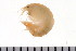  ( - HUNTSAMP0121)  @13 [ ] CreativeCommons - Attribution (2010) Unspecified Centre for Biodiversity Genomics