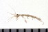  ( - HUNTSAMP0135)  @13 [ ] CreativeCommons - Attribution (2010) Unspecified Centre for Biodiversity Genomics