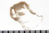  ( - HUNTSAMP0147)  @14 [ ] CreativeCommons - Attribution (2010) Unspecified Centre for Biodiversity Genomics