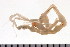  ( - HUNTSAMP0172)  @13 [ ] CreativeCommons - Attribution (2010) Unspecified Centre for Biodiversity Genomics